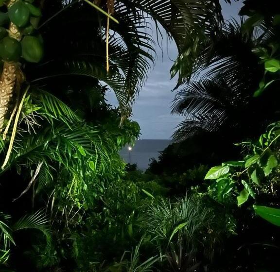 膳宿费 L Atelier Gîtes Des Koalas