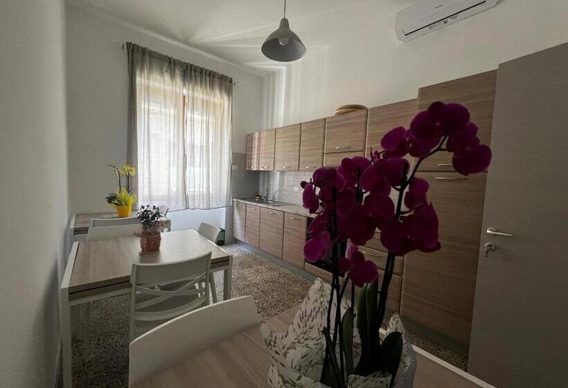 פנסיון Mari & Monti Affittacamere