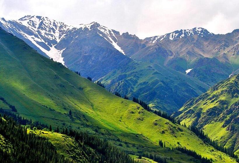 پانسیون Mikasa Guest House