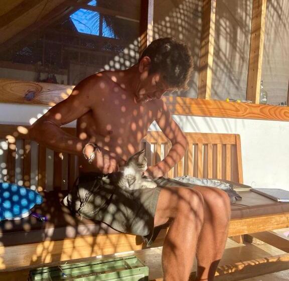 پانسیون Pongwe Eco Lodge And Kitten Paradise