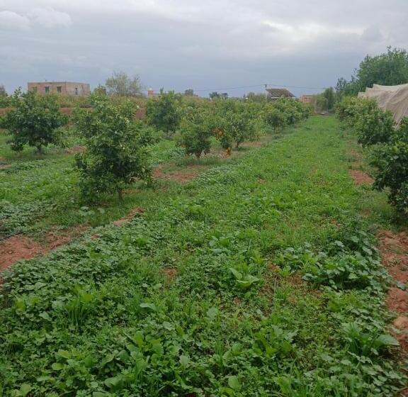 ریاض Dar Limoune