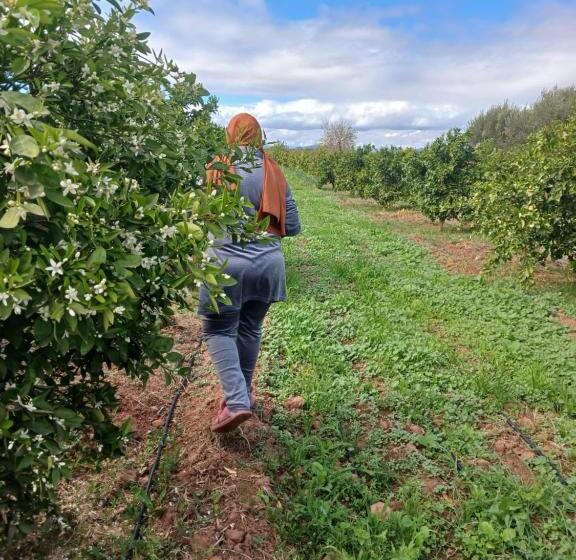 ریاض Dar Limoune