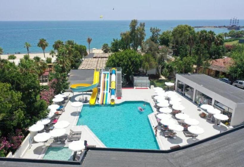 Seaphoria Beach Hotel & Spa   By Mir Amor Ultra All Inclusive