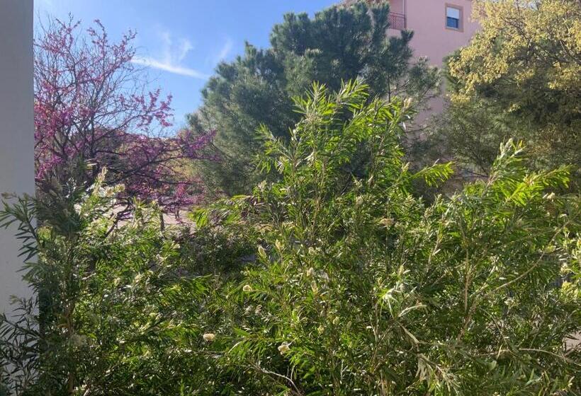 Studio Prado Plage Piscine Terrasse