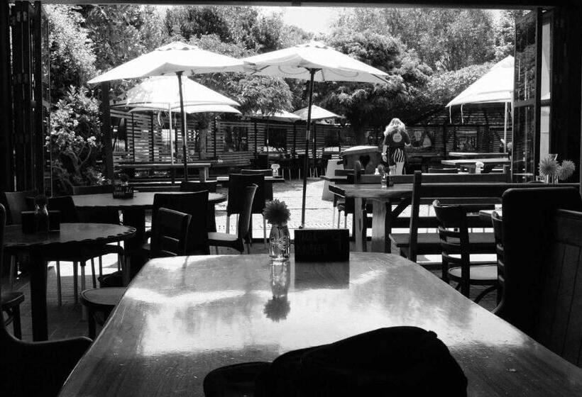 הוסטל Leigh Sawmill Accomodation