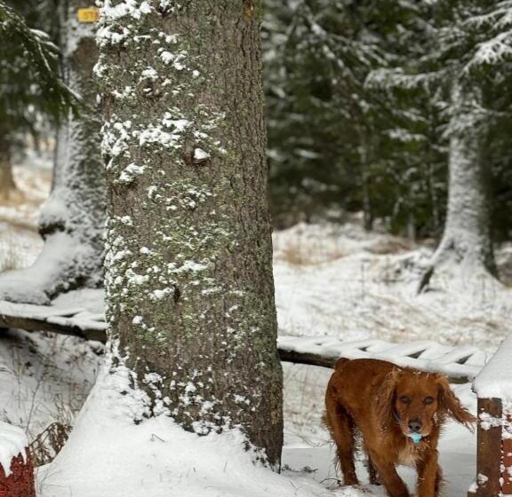 Aparthotel Raikov Ski Lodge