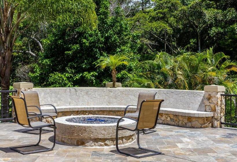 ベッドアンドブレックファースト Casa Cascada Casita Yolo