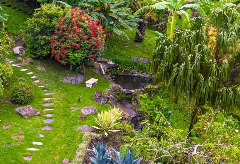 ベッドアンドブレックファースト Casa Cascada Casita Yolo