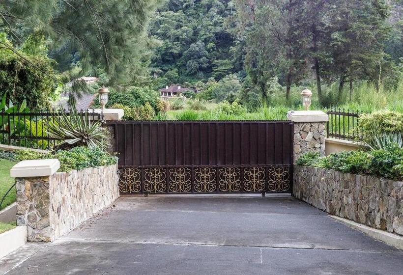 ベッドアンドブレックファースト Casa Cascada Casita Yolo