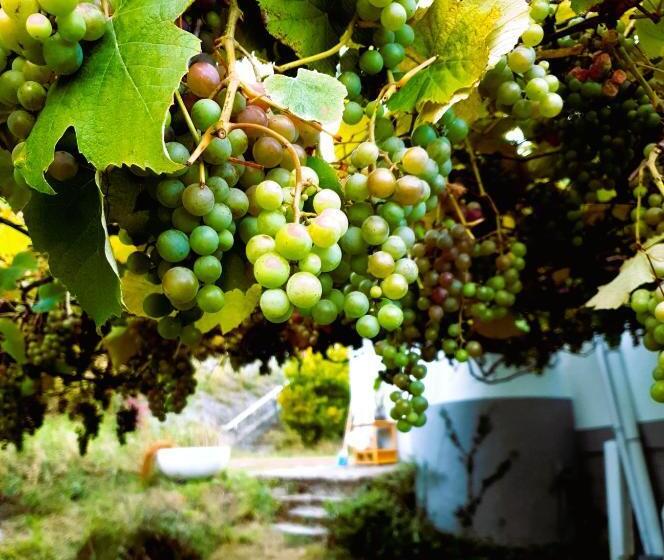 تختخواب و صبحانه Casa Natura Galicia