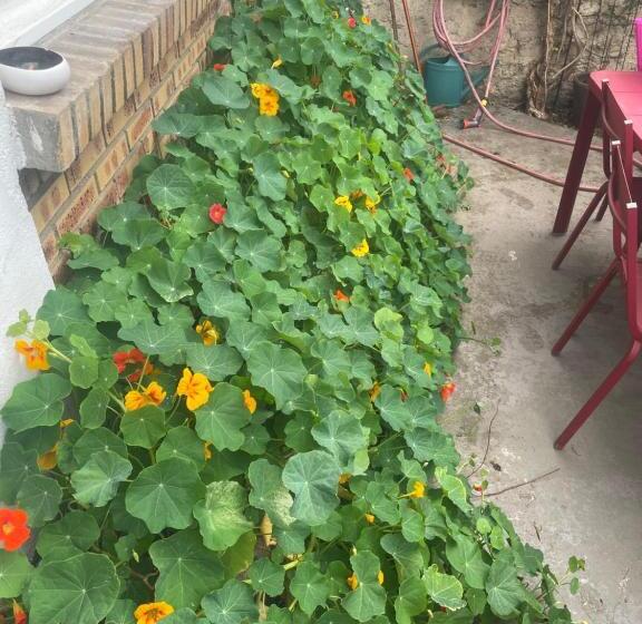 住宿加早餐 Guest Room In A Green Setting