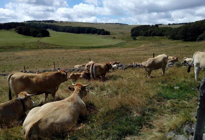 צימר Les Terrasses Du Verger
