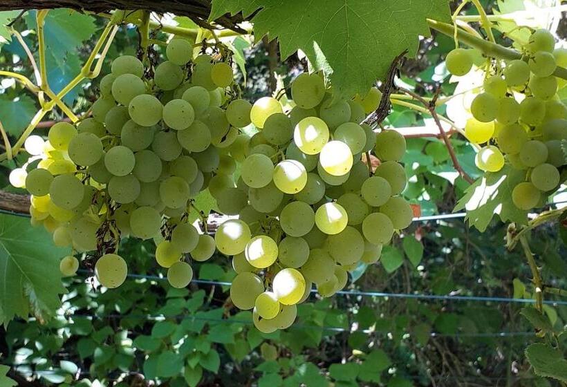 צימר Les Terrasses Du Verger