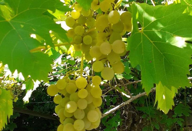 צימר Les Terrasses Du Verger