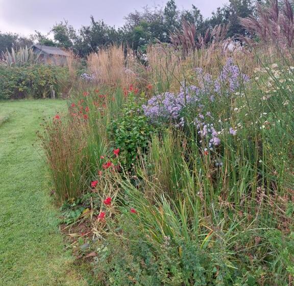 민박 Private Suite At Llanddinog House Near Solva