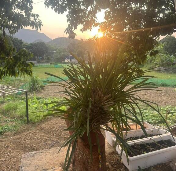 تختخواب و صبحانه Peaceful Maichau Homestay