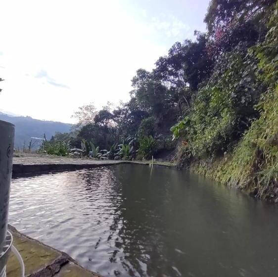 민박 Refugio En La Montaña