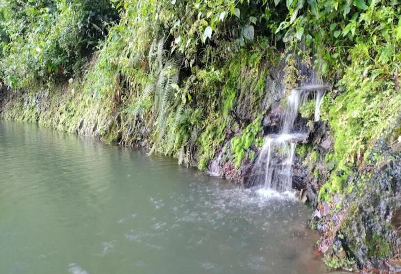 민박 Refugio En La Montaña