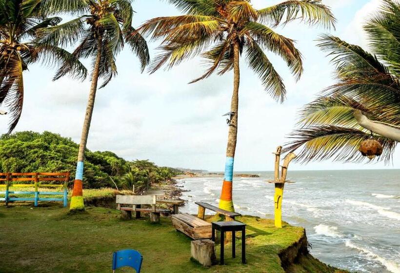 בית מלון כפרי El Palmar Tours