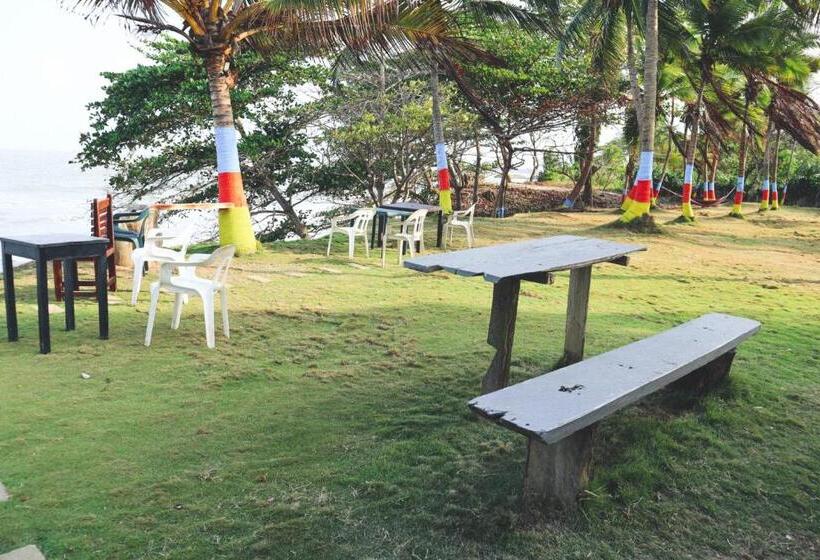 ホテル El Palmar Tours