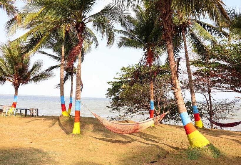 ホテル El Palmar Tours