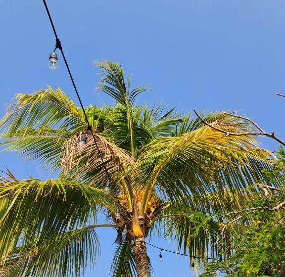 ホテル Horizonte Azul