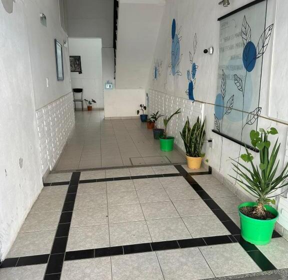 Nuevo Hotel Mitre 83