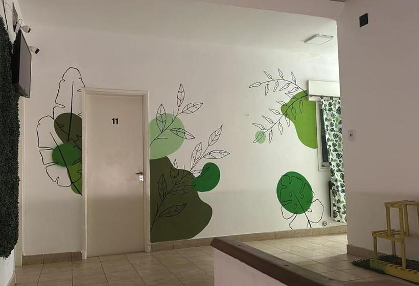 Nuevo Hotel Mitre 83