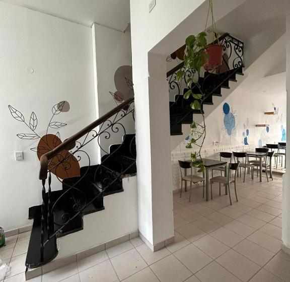 Nuevo Hotel Mitre 83