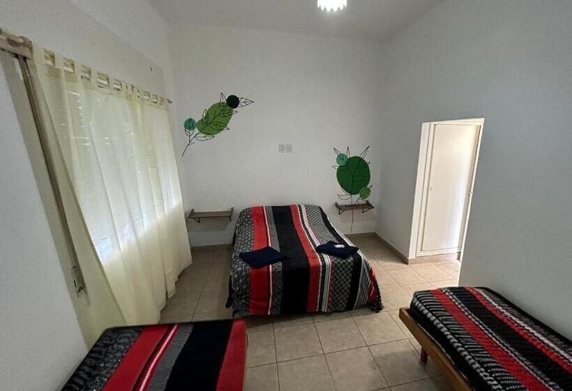 Nuevo Hotel Mitre 83