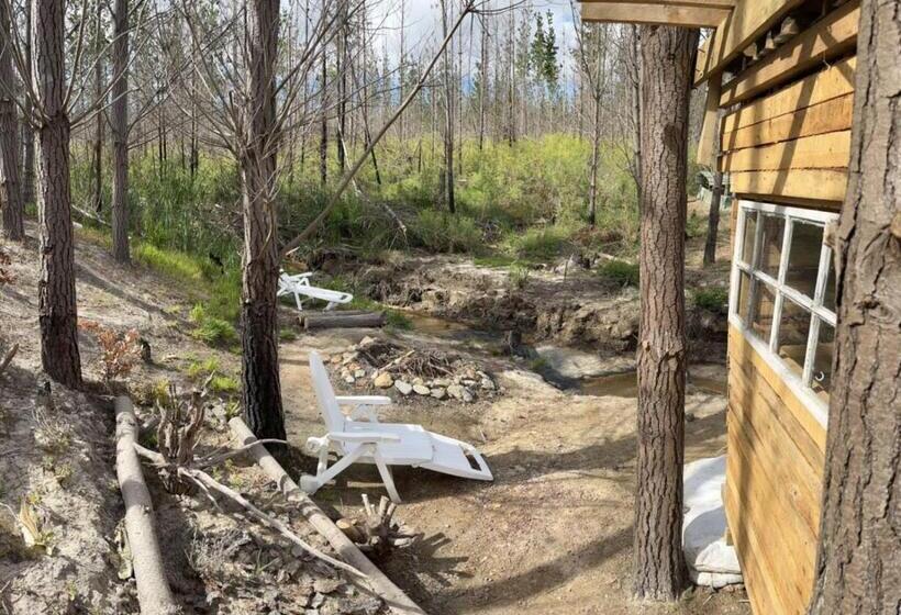 بنسيون Merrily Down The Stream Family Room