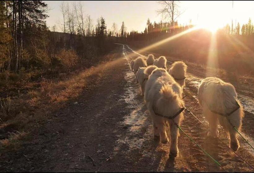 Пансион Sam Arctic