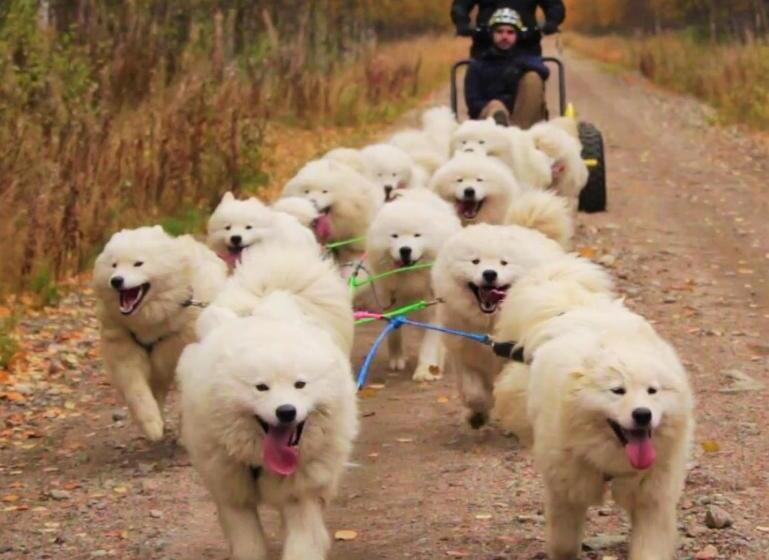 Пансион Sam Arctic