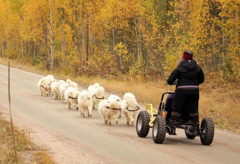 Пансион Sam Arctic