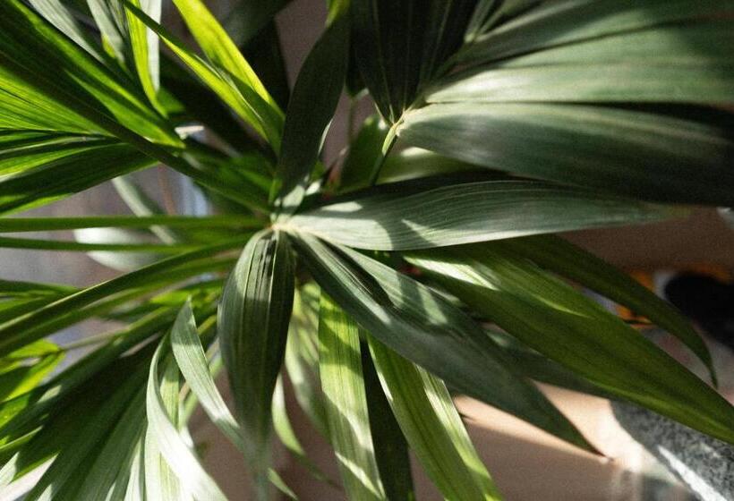 Пансион Studio Cabin In Belfast