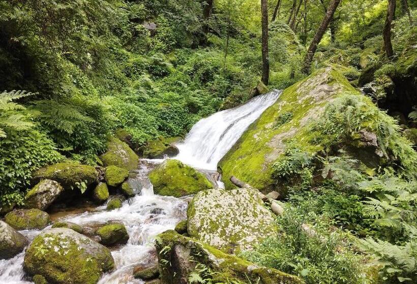 膳宿费 Tirthan View Homestay