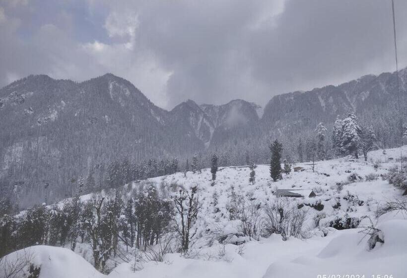 膳宿费 Tirthan View Homestay