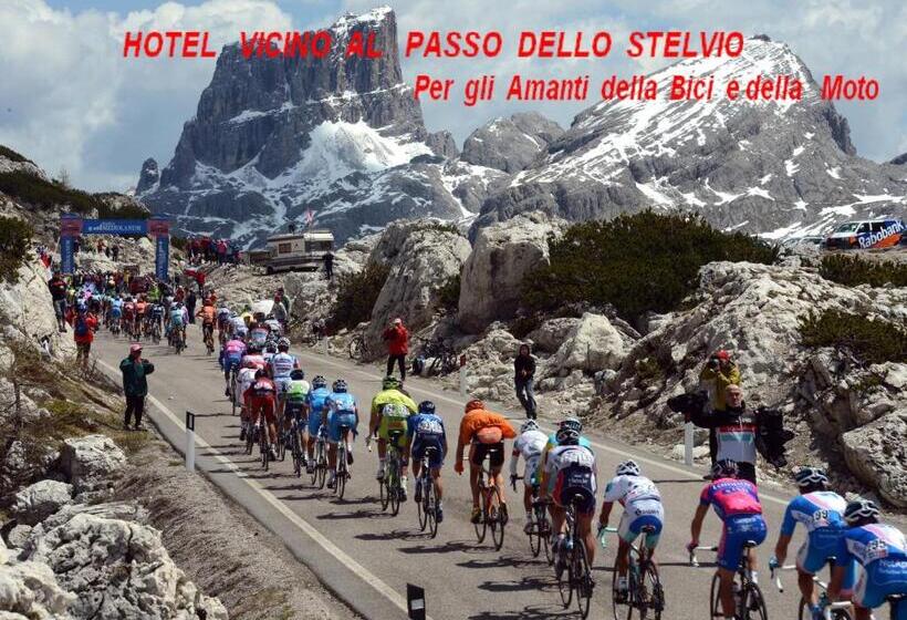 Albergo Motel Dosdè B&b