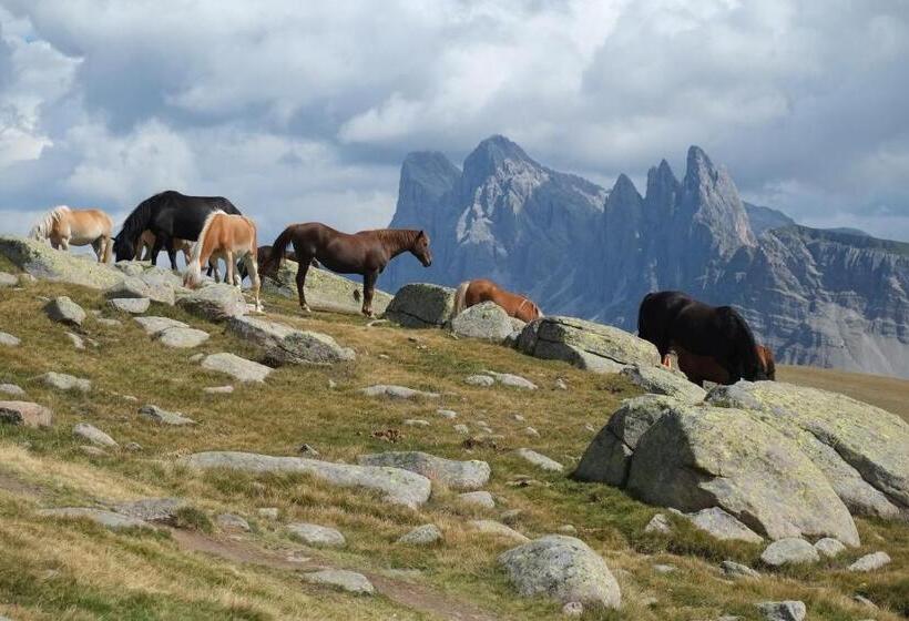 B&b Appartments Cudlea