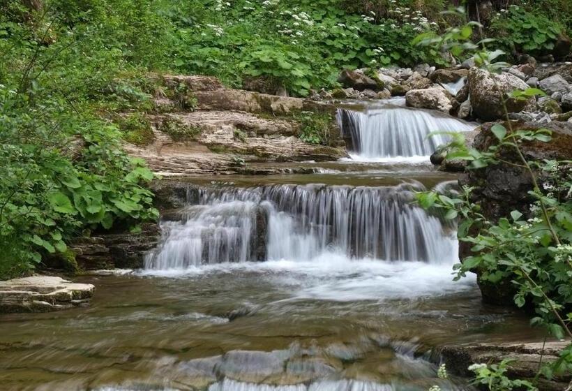 B&b Appartments Cudlea