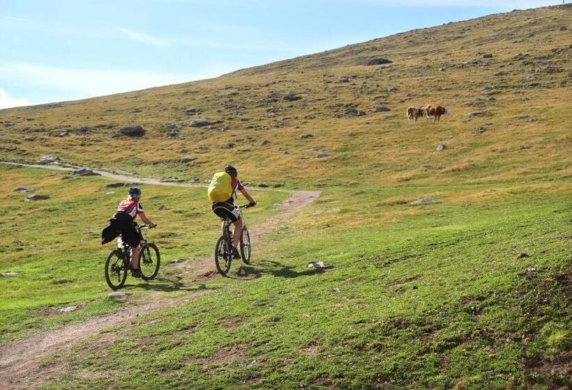 B&b Appartments Cudlea