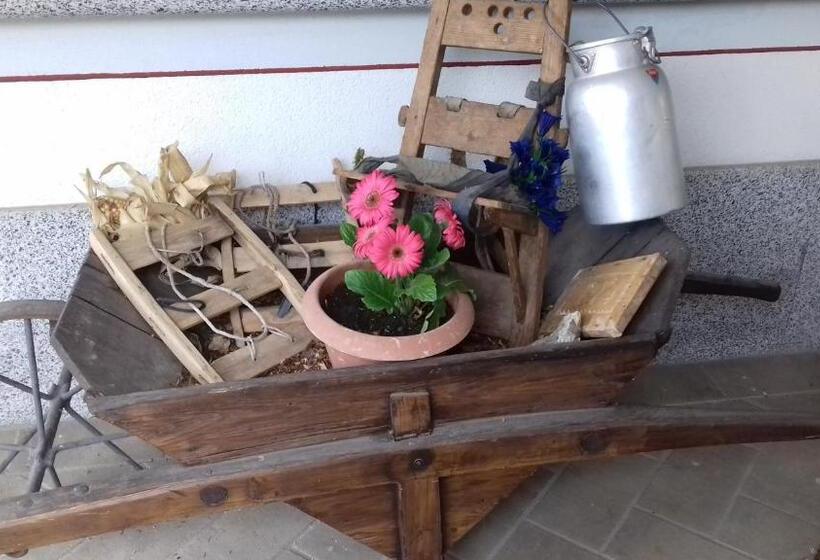 B&b Nido Delle Aquile