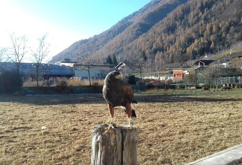 B&b Nido Delle Aquile