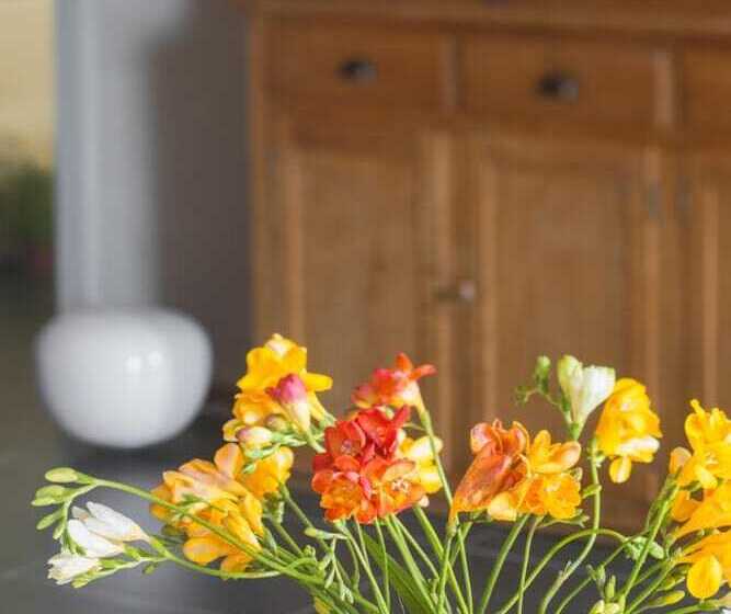 Boutique B&b Residenza Farnese