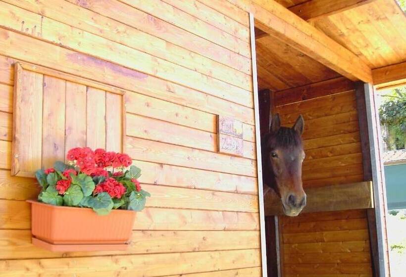 مبيت وإفطار Agriturismo Poggio Del Drago