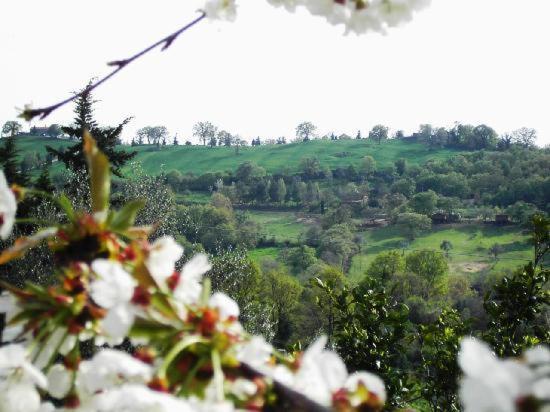 مبيت وإفطار Agriturismo Poggio Del Drago