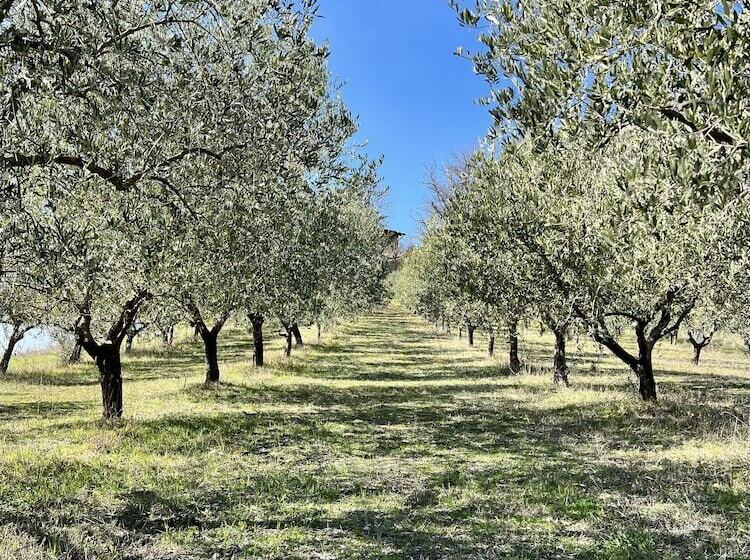 مبيت وإفطار Agriturismo Rio Verde