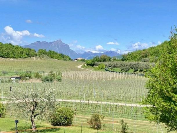 ベッドアンドブレックファースト Cà Vettor