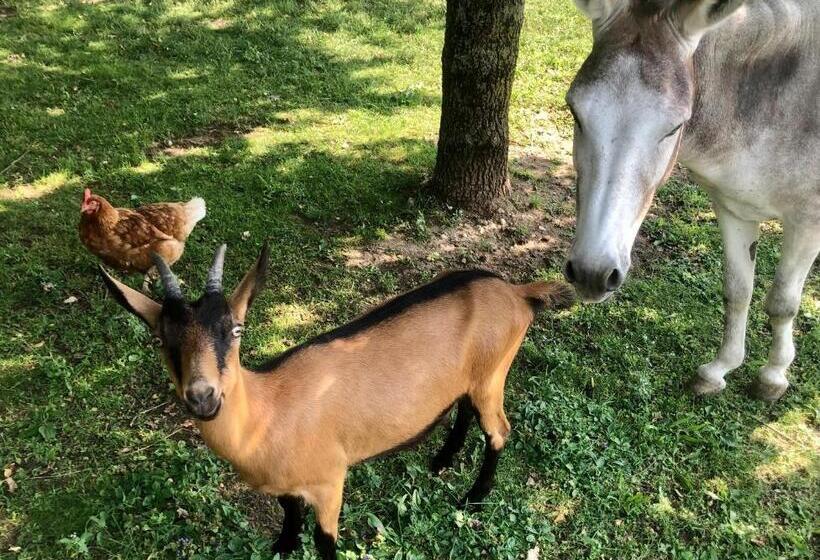 ベッドアンドブレックファースト Cà Vettor