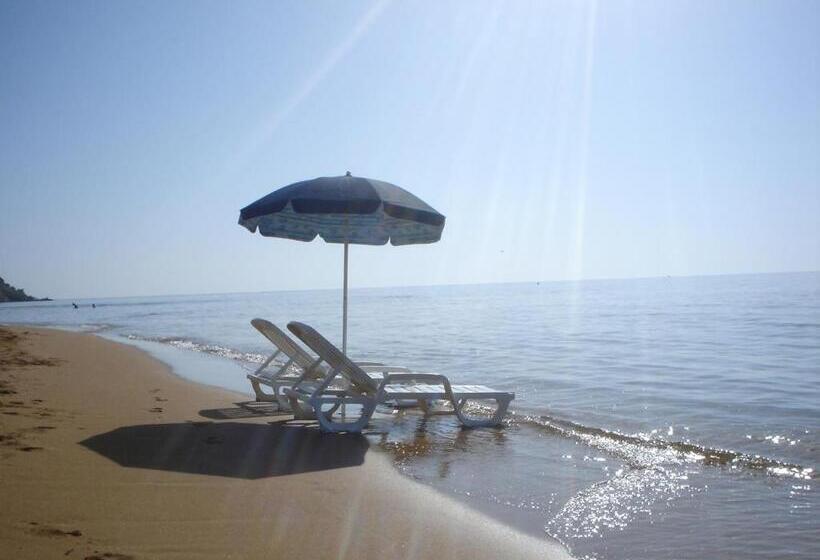 住宿加早餐  Casa Elvira